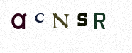 Visual Confirmation Security Code