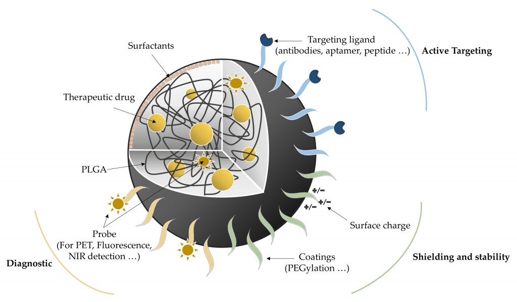 Schematic-representation-of-PLGA-NPs-and-their-multiple-potential-functionalizations-1024x599